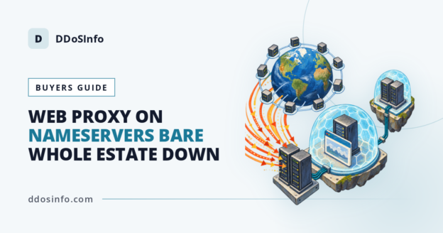 Authoritative DNS DDOS Protection: A Buyer’s Guide